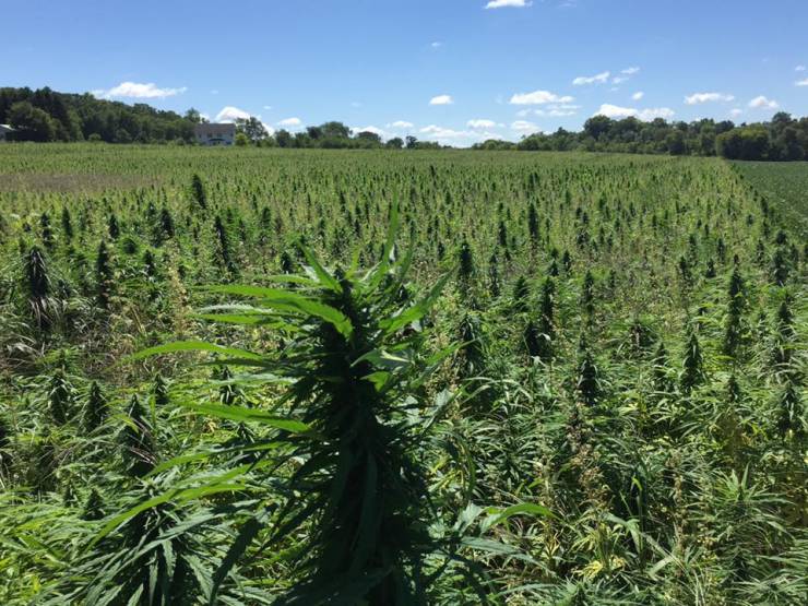 Farmers Discuss Prices