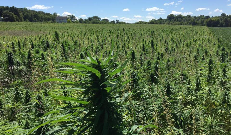 Farmers Discuss Prices